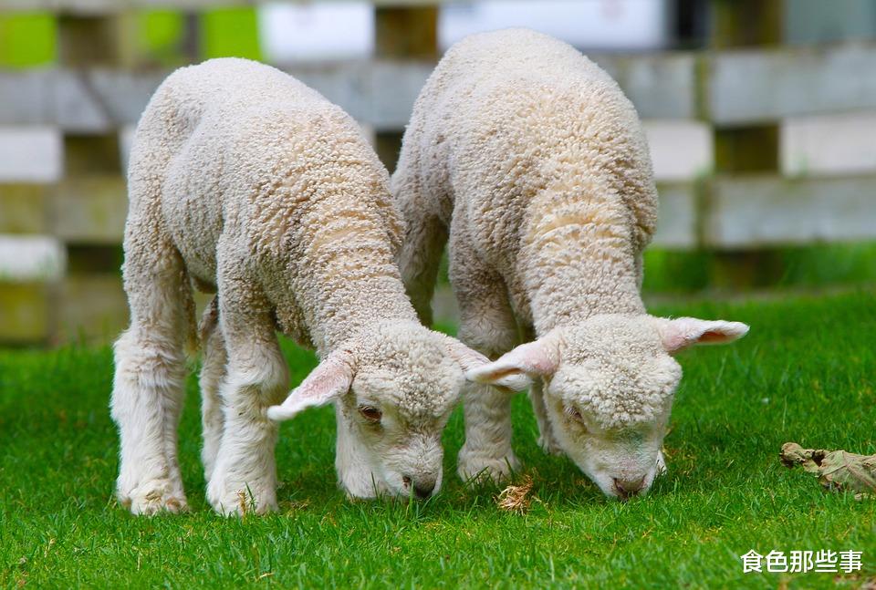 网络小说|二战后为什么美国人很少吃羊肉了?原来背后的原因是这个!