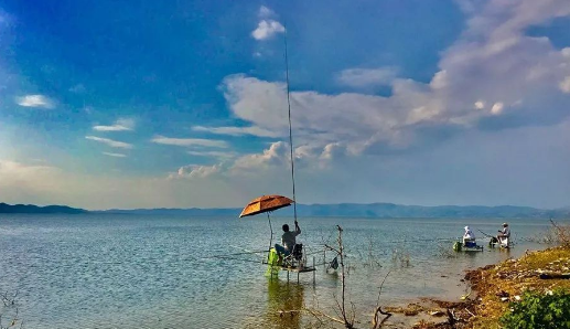 饵料|神仙难钓午时鱼,钓鱼人怎么操作才能打破这一魔咒?