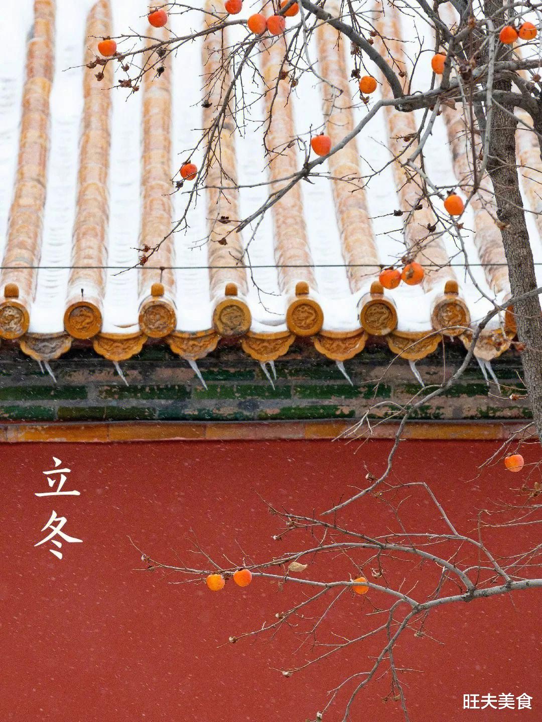 美食教程|今日立冬，别忘了吃5种“冠军菜”，滋补润燥，应季而食安稳入冬