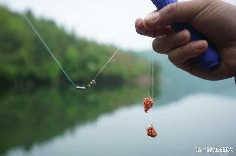 鲫鱼|钩距多少最合适？一次性让你对钩距有清晰的认知，合理使用不迷茫