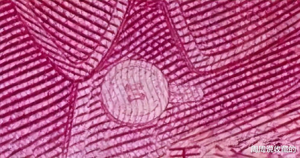 |关于人民币上的暗记,你了解多少?