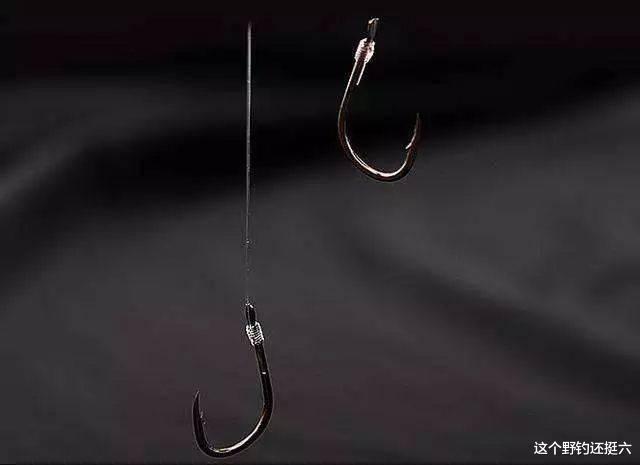 鲫鱼|钩距多少最合适？一次性让你对钩距有清晰的认知，合理使用不迷茫