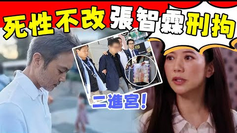 张智霖再涉诈骗：白发斑驳，内幕曝光被袁咏仪害惨！