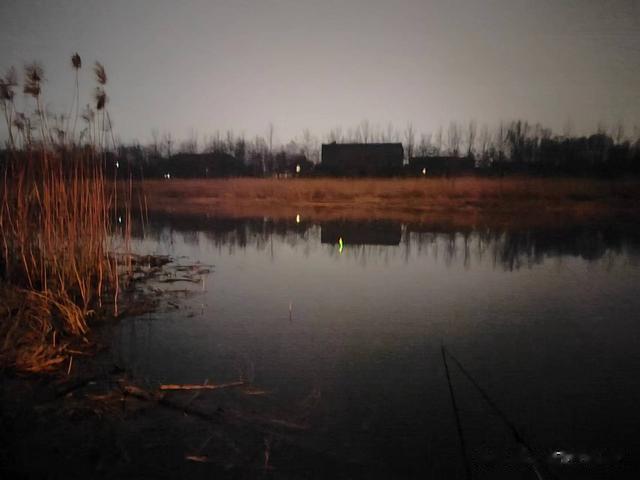 |钓鱼日记——2023年3月7日（巩华城夜钓）