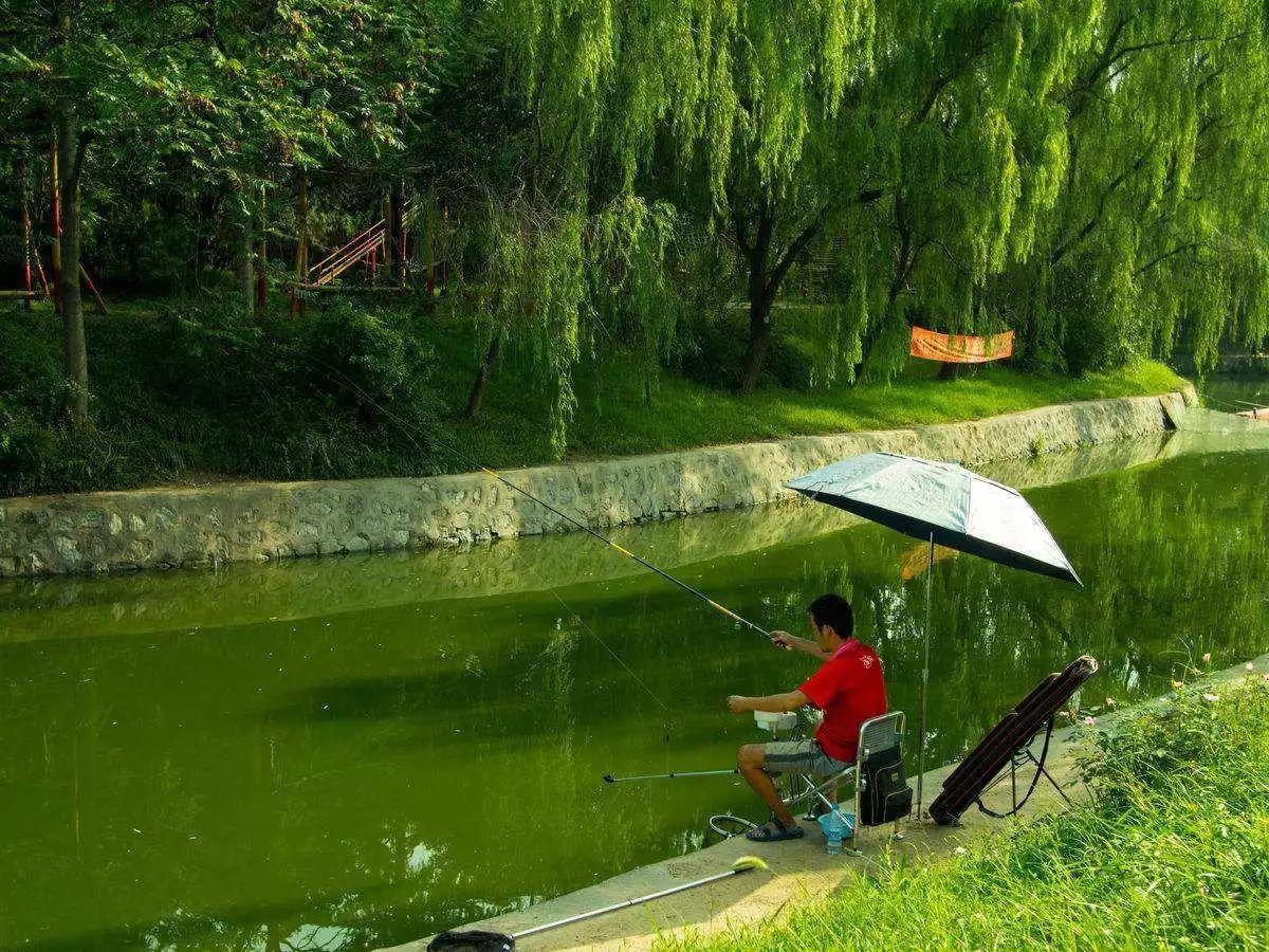 同是钓鱼佬，做人的差距咋这么大？引发了我更深一层次的思考