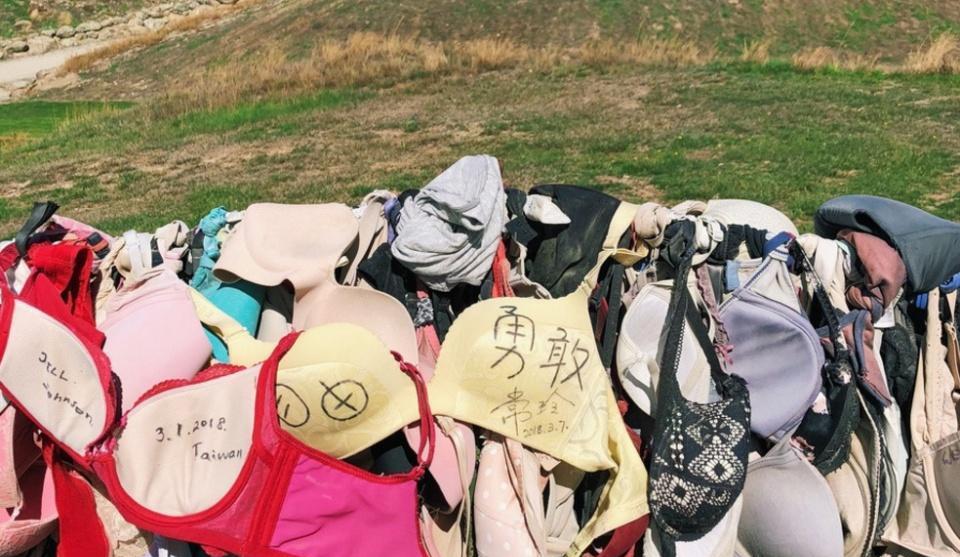 许多|新西兰的“内衣墙”，你知道其背后的故事吗？