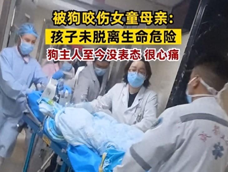 因恶犬伤人,明星们接二连三翻车,不懂审时度势,活该被怼了!