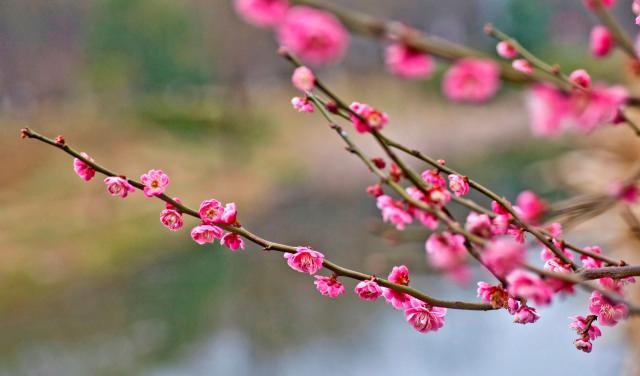 不管关系多好,同事对你做过以下事,是在“害”你