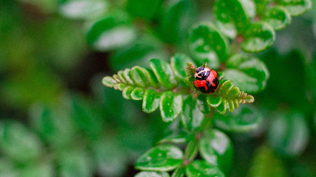 男人到了多少岁，会对女人不感兴趣，看看3个男人的心里话