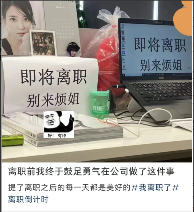 大学生|“眼里都是有光的”，大学生晒离职后状态照，肉眼可见的容光焕发