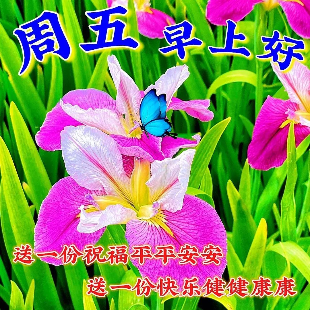 2023年6月9日周五早上好,创意暖心祝福图片 - 情感资讯(主打网)