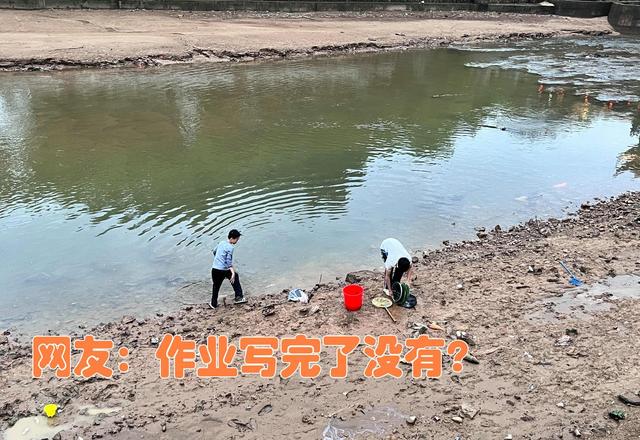 鲤鱼|江苏两小学生河边收获几十斤鱼，附近钓鱼人：不可能是钓的