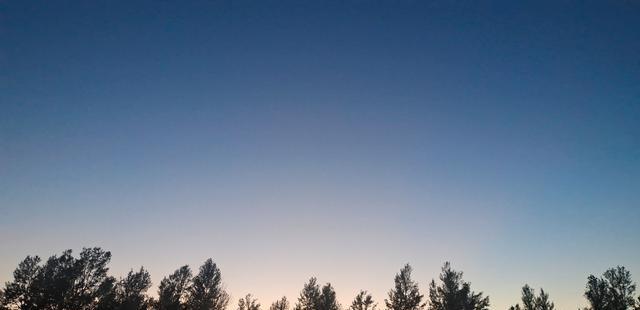 哪有什么低情商,只是懒得装