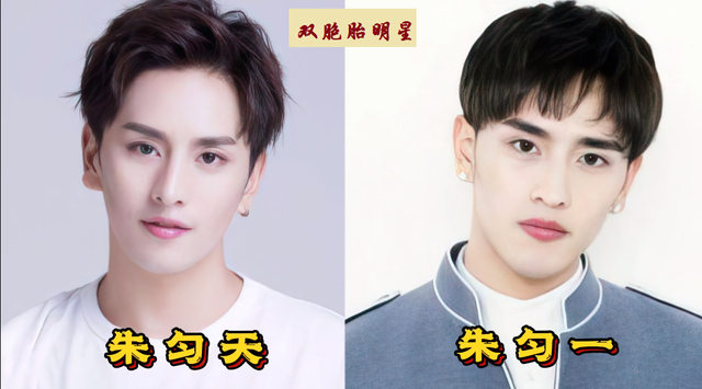 海贼王|17对双胞胎明星, 刘全和刘全利共用一张脸,让人傻傻分不清楚