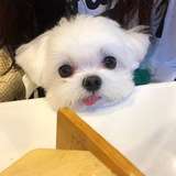 若云聊房产