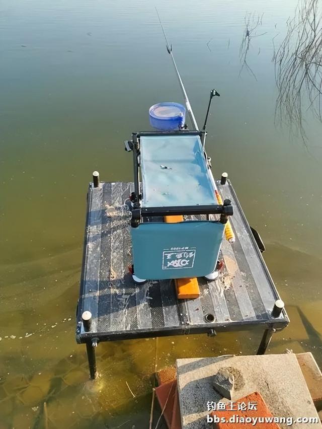 鲫鱼|气温回升杂鱼闹,钓鱼王奶香板鲫爆盆