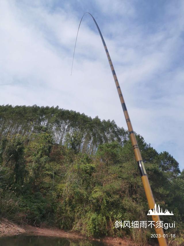 |意外中的意外,耐心作钓终爆护!