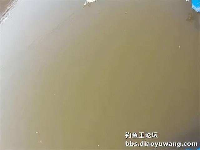 地狱猫水库试钓，遇涨水小有收获