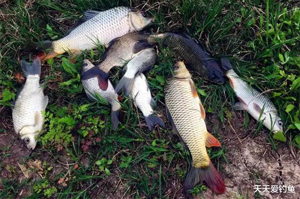 钓鱼技巧：3种特殊钓离底方法，适合各种野钓鱼情