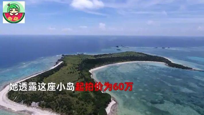 |中国30岁女子买下日本小岛，内行直摇头：后续成本上天