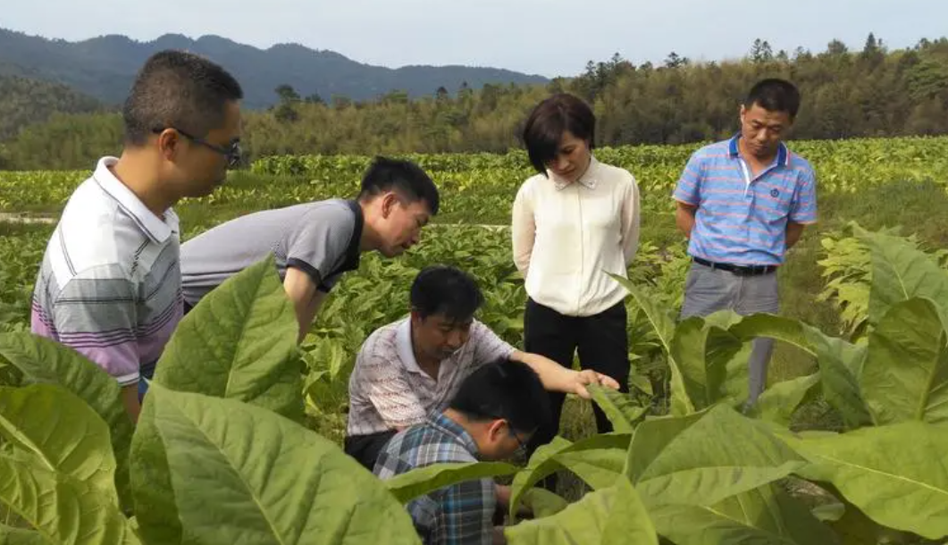 国企|高薪国企向社会招聘，待遇好学历上也相对放宽，专科生也有机会