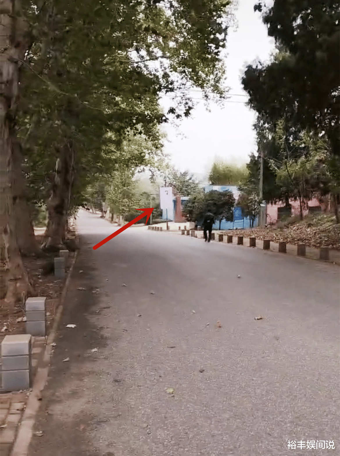 李玟墓地照曝光！蓝色与粉色交相辉映，纪念展时间长达7个月