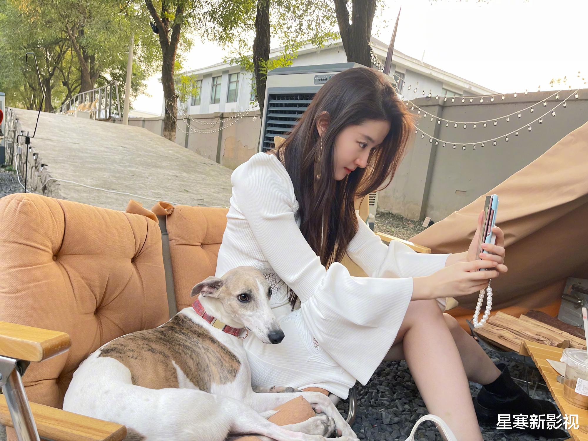 刘亦菲|刘亦菲《玫瑰故事》筹拍，争角大战一触即发，4位实力男神呼声高