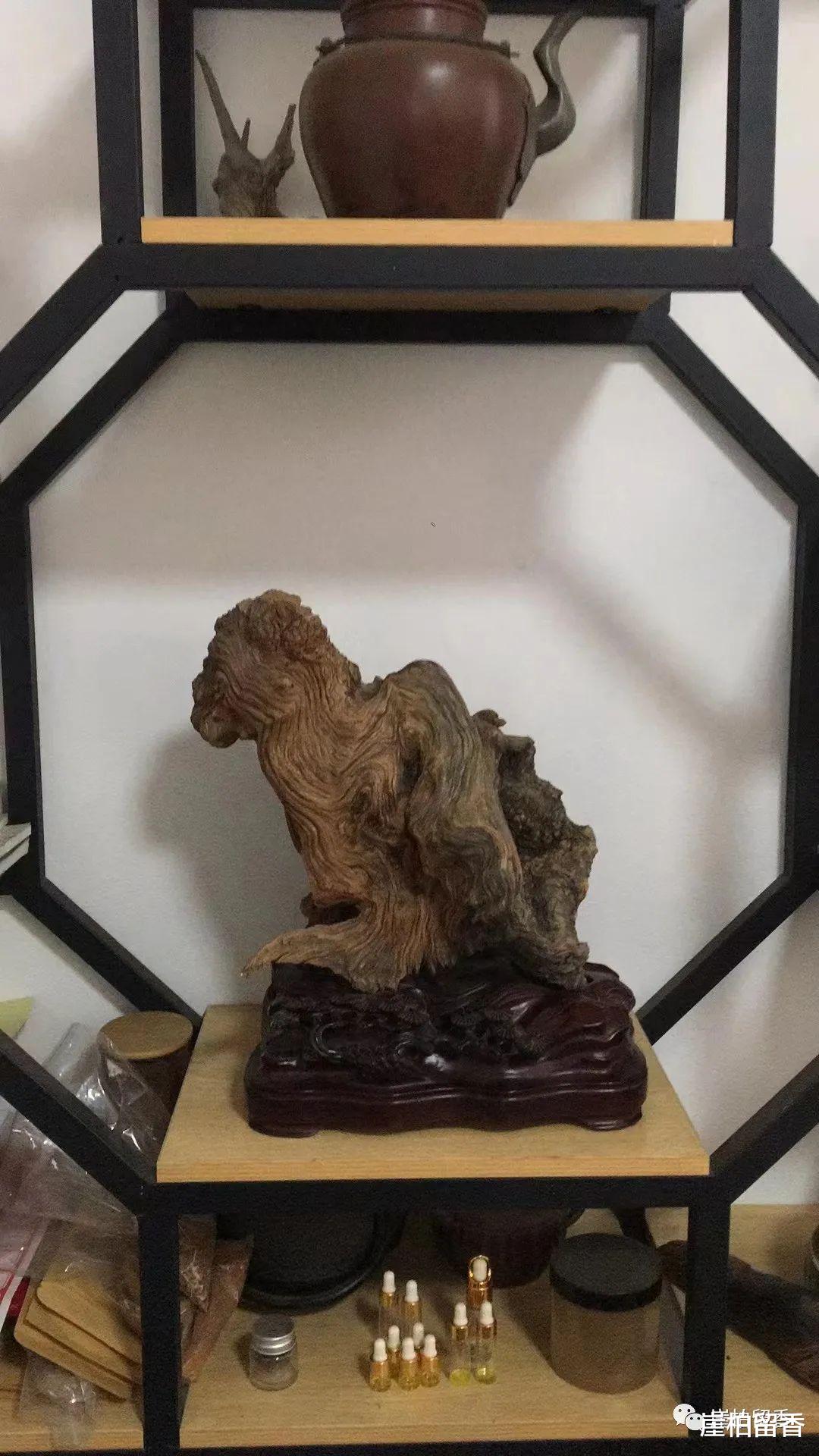 文玩|为啥现在的崖柏已经变味儿了呢？