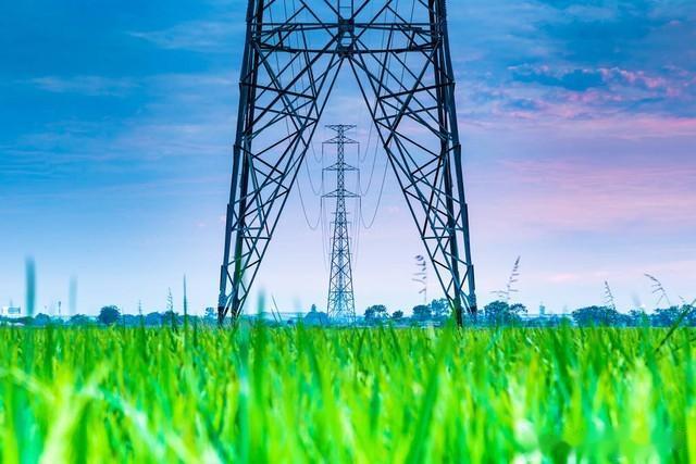 交大硕士报浙江电网没通过，很多清北学子排队，当工人这么香吗？