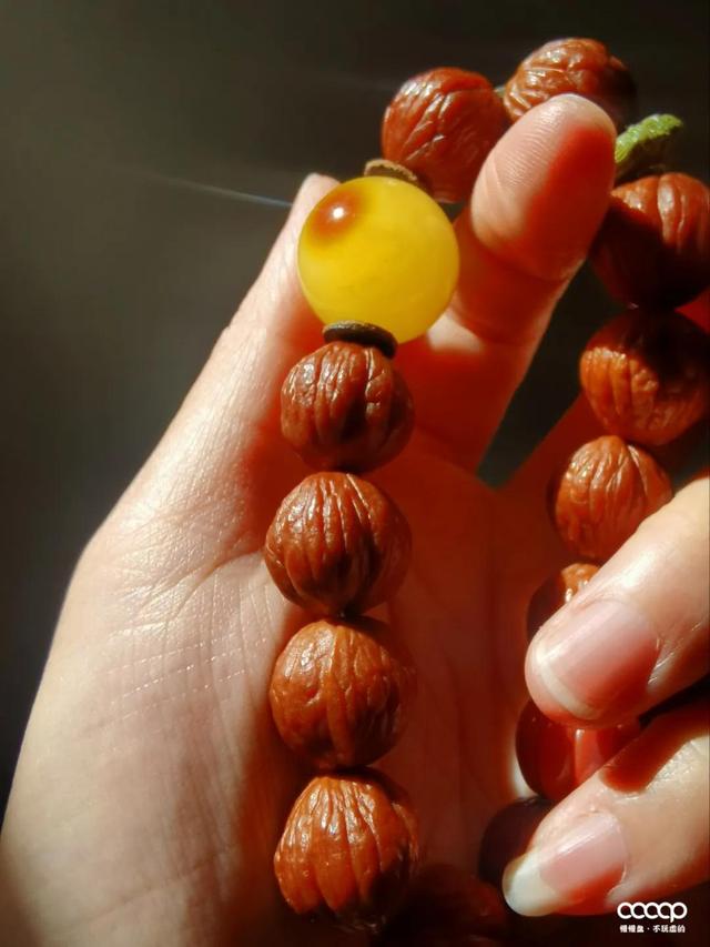 文玩|好玩不贵，不到1年，润得跟驼骨一样！通货玩出来，也可以很硬