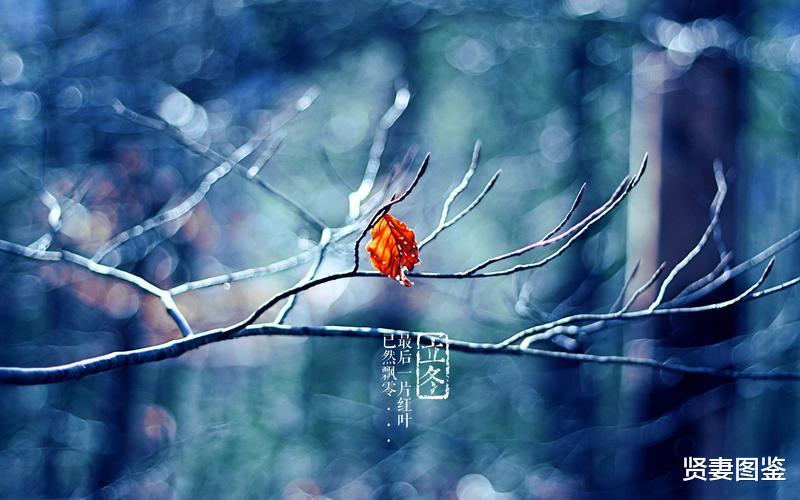 莲藕|立冬后这菜抓紧吃，一清热，二补血，三减肥，被誉为“水中人参”