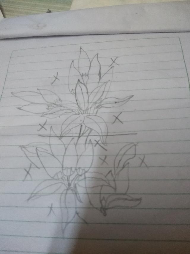 雕刻|玉石辣椒怎么雕刻