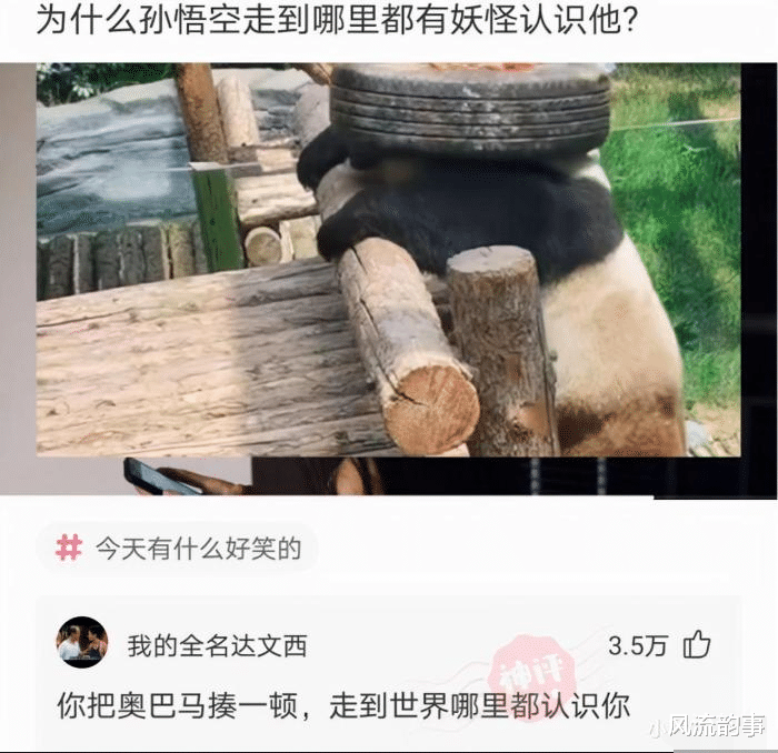 |“总经理办公室这样设计，要不要加厚隔音墙呢？”太有才了