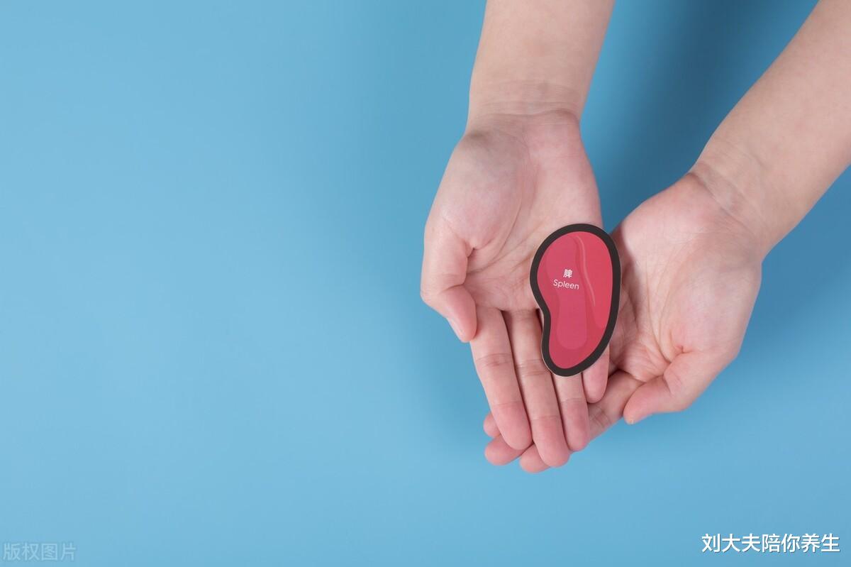 虚胖 肚子浮肿、一运动就累?多半是虚胖,中医调理:给虚胖者补点气