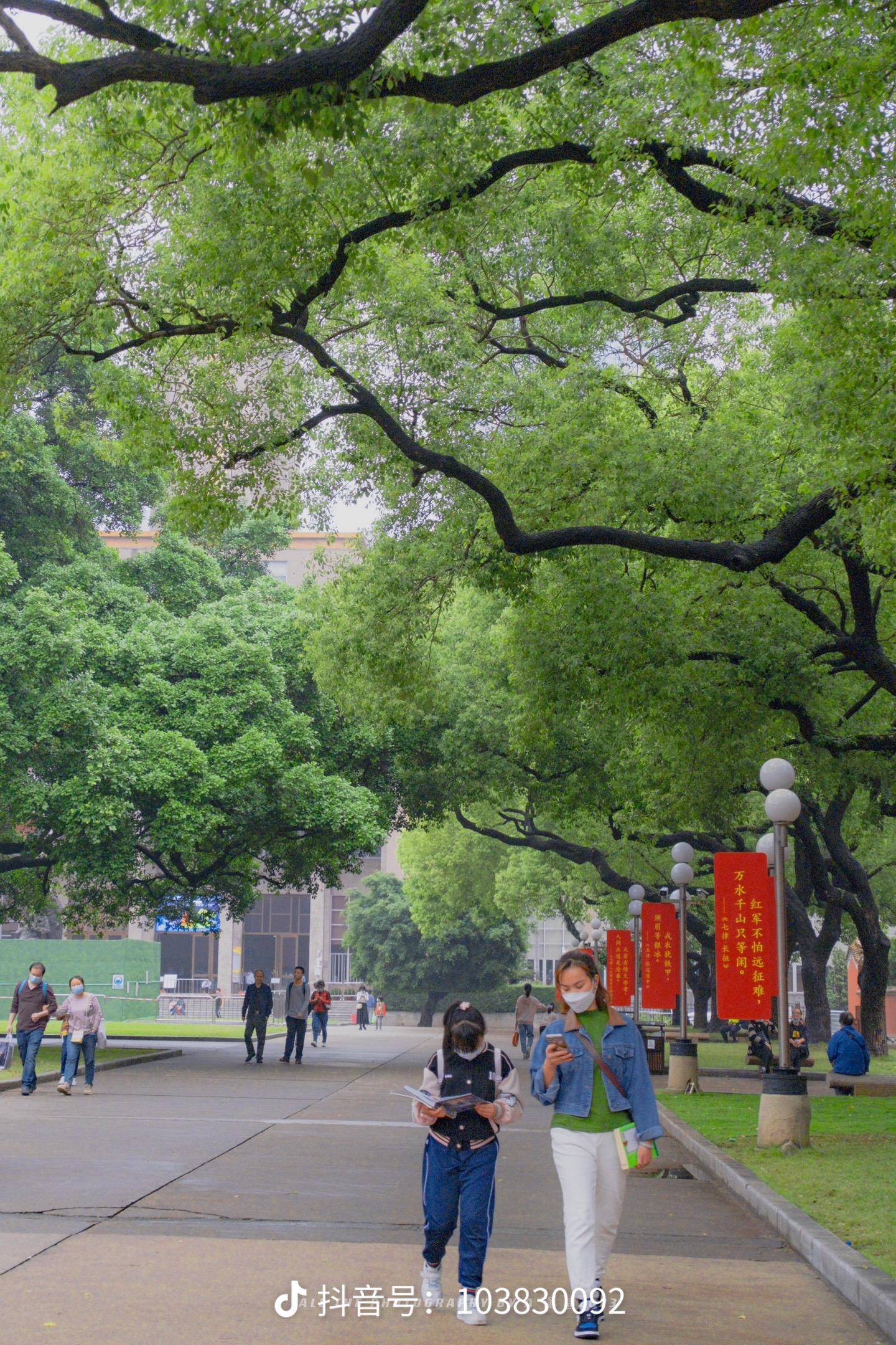 广州市|周末就来农讲所与春天撞个满怀吧！游玩攻略