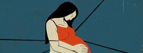 徐静蕾|徐静蕾“才女”人设崩塌引群嘲:所谓独立女性,不过是精致利己