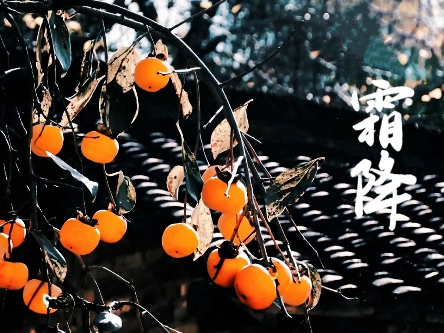 芝麻|10月24日霜降，包饺子韭菜白菜靠边站，首选这3种馅料，全家都爱吃