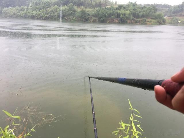 海钓|守钓鲤鱼是最“笨”的办法，要说狠还得是传统钓，死死拿捏