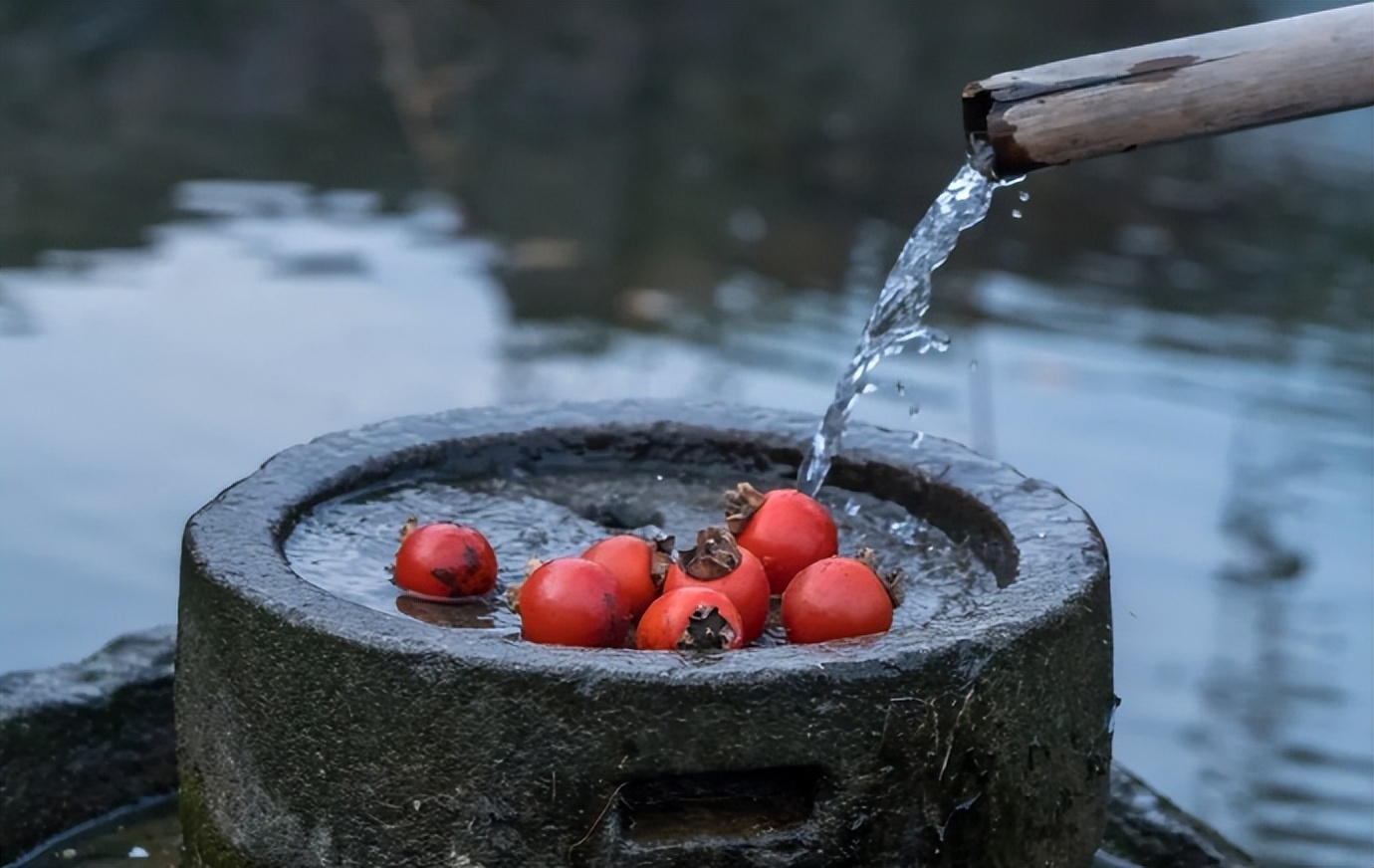 全职妈妈|生完孩子后，你愿意做全职妈妈还是回归职场？