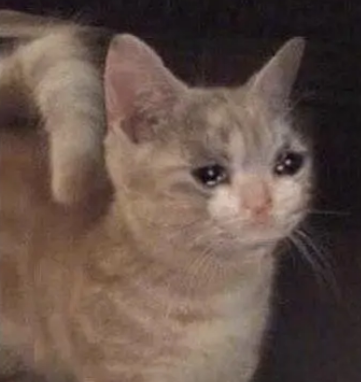 内娱赘婿之战！