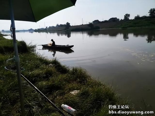 |野河板鲫最喜人