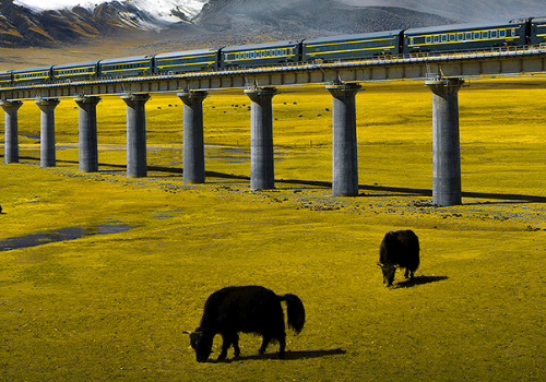 火车|西藏之行，天路，坐火车去拉萨