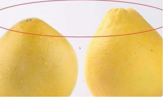 |买柚子时，是选“尖头”还是“圆头”？老果农：区别很大，弄懂再买！