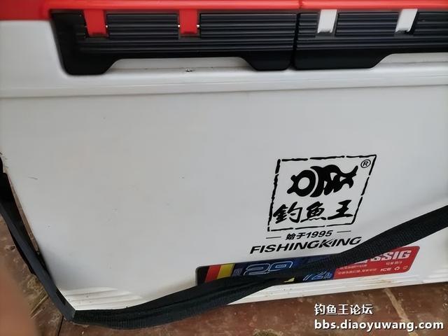 |生鲜大玉米,钓翘也钓鲫