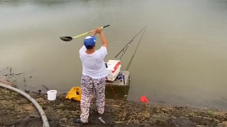 |俗话说“近打窝子远钓鱼”,我反其道而行之却钓得不亦乐乎