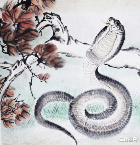 职场内外受欢迎,人生光景大好转的 3个生肖,辛苦不过7月