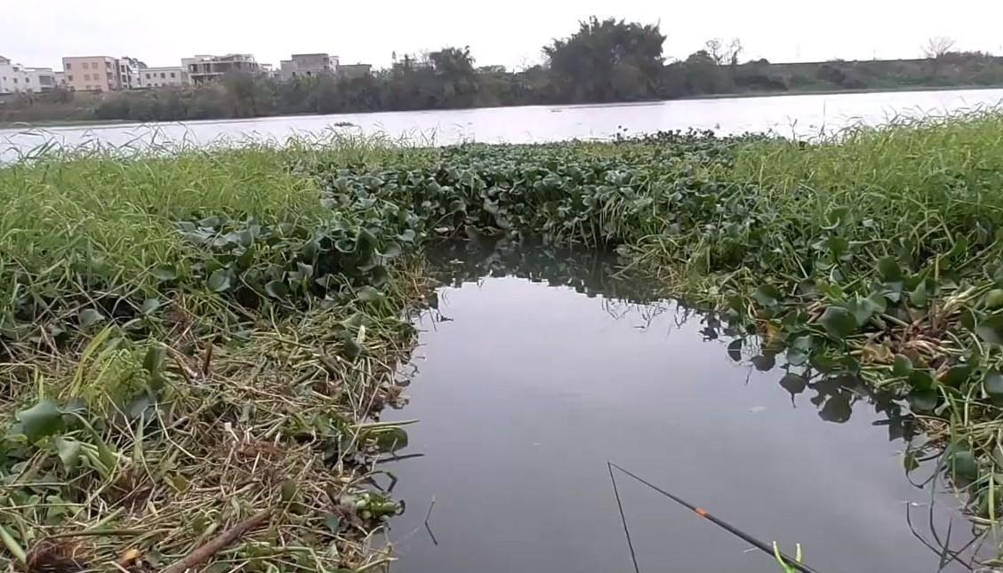 |钓鱼:调漂的4个步骤,简单调漂,一学就会