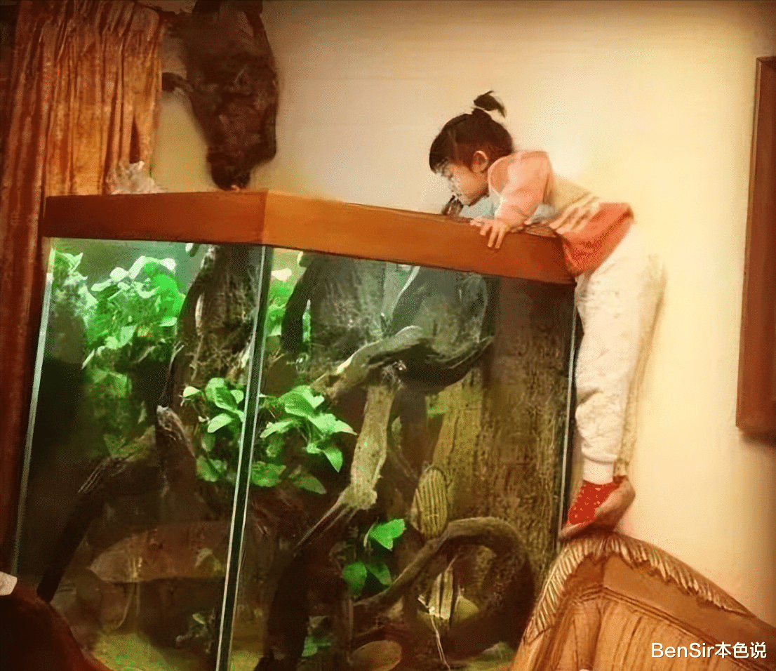 王昱珩|内娱新风向：智性恋天花板王昱珩，凭颜值上热搜