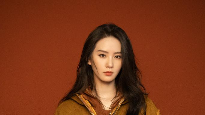 刘诗诗，刘亦菲，王源，肖战，杨洋，张杰