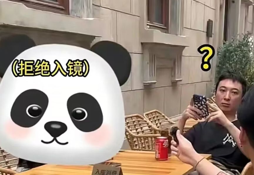 王思聪|王思聪接受街头采访，被问当天为何不上班，王总表情疑惑逗笑众人